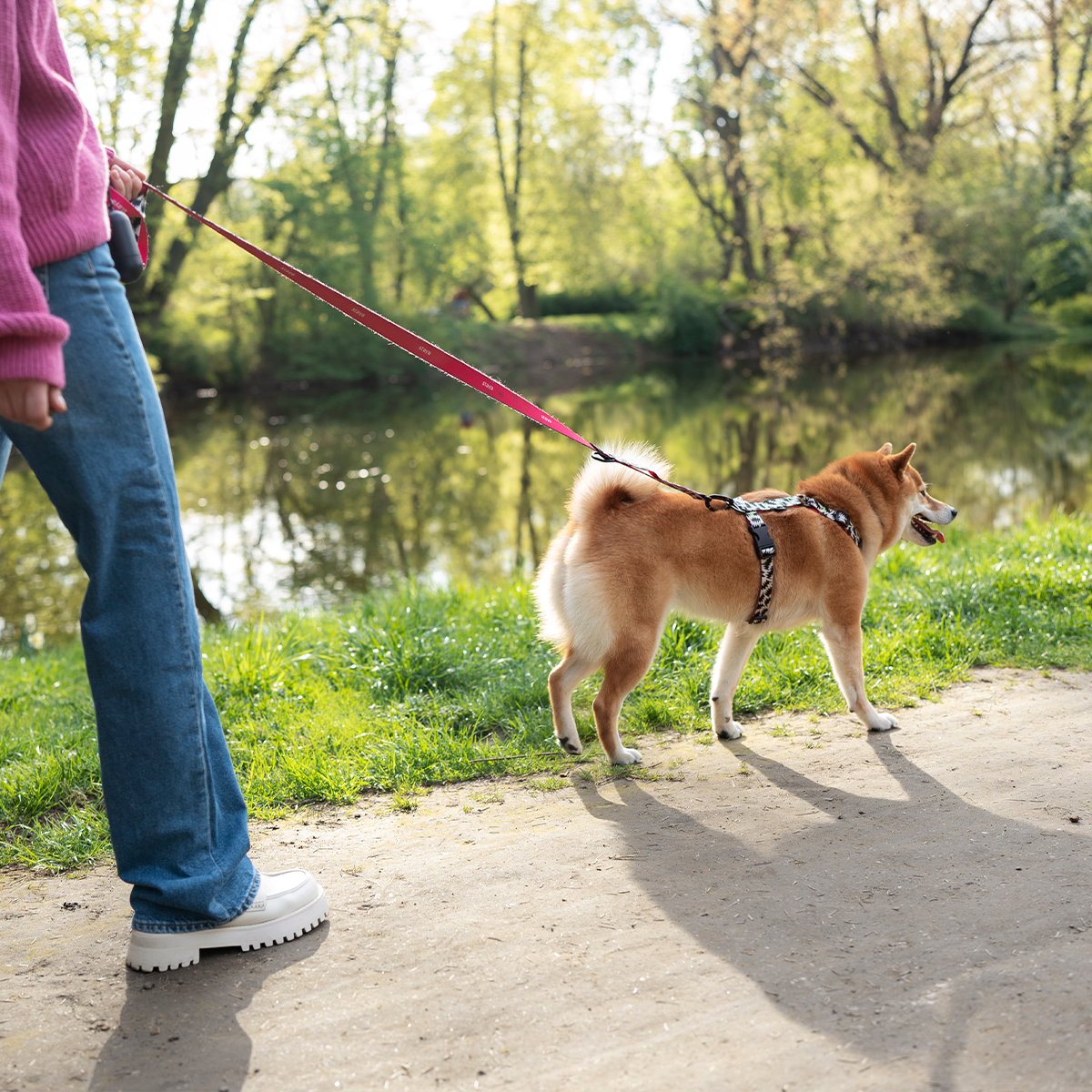 walk